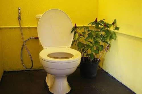 Dorm Des Fleurs Hostel Khao Lak Dış mekan fotoğraf